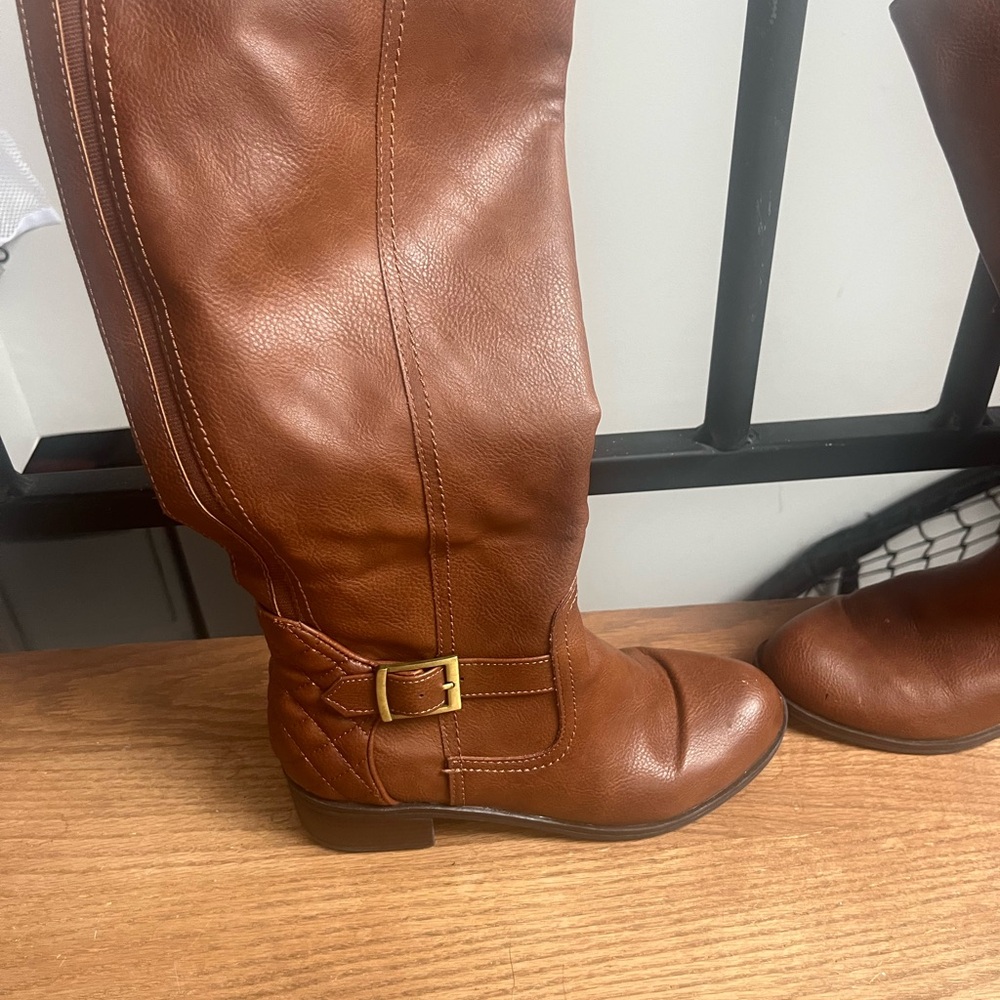 Arizona brown boots